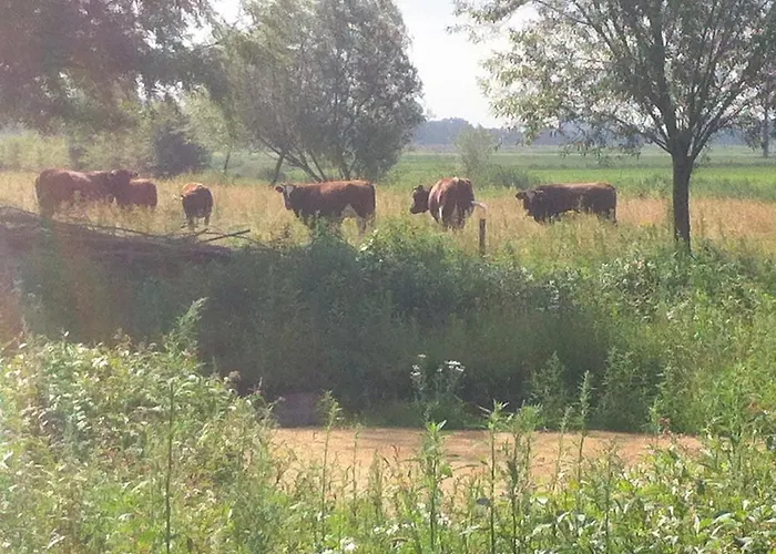 Apartment Studio Kilsdonk