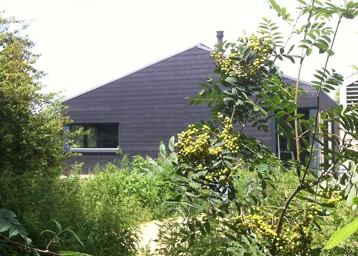 Studio Kilsdonk Apartment