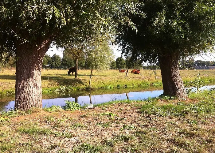 Kilsdonk Appartement Dinther